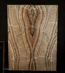 Sahara Onyx Wall Panels (Set #2 Out Of 3) Exotic